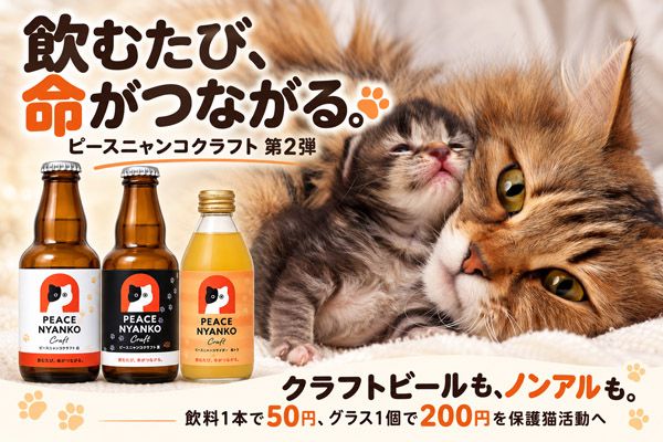 飲むたび命がつながる保護猫活動「ピースニャンコクラフト第2弾」クラファン実施中