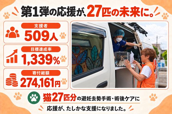 飲むたび命がつながる保護猫活動「ピースニャンコクラフト第2弾」クラファン実施中