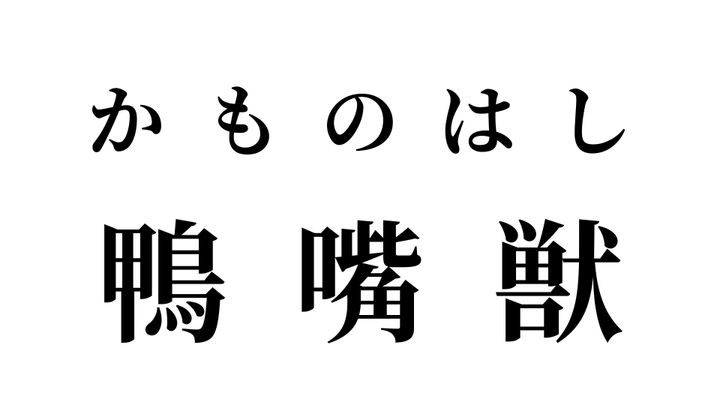 答え