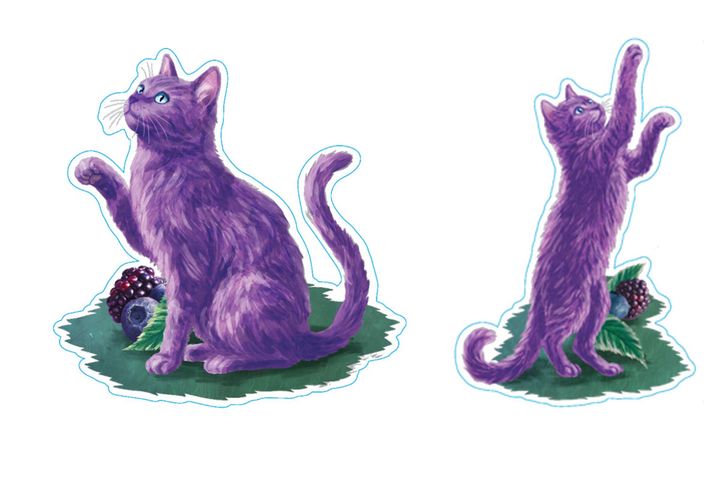 店舗でもSNSでも。どこかに潜む“幻のパープルキャット”を探して
