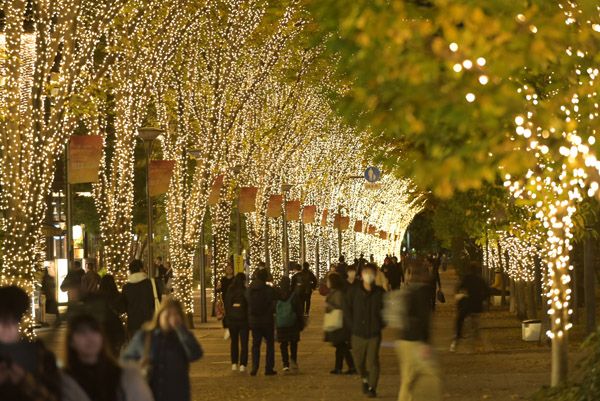 【東京都立川市】伝統文化・アイドルグループ・約60万球の光が彩る「たちかわイルミネーション」開幕
