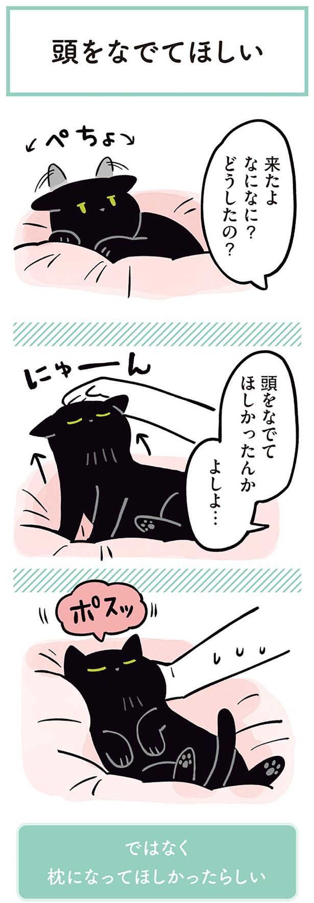 頭をなでてほしかったんか （C）AKR／KADOKAWA