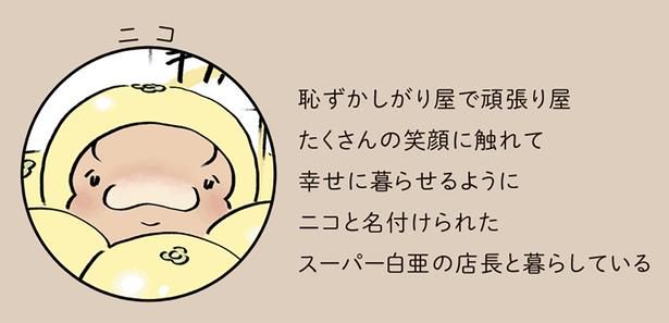 ニコ （C）クラナガ／KADOKAWA