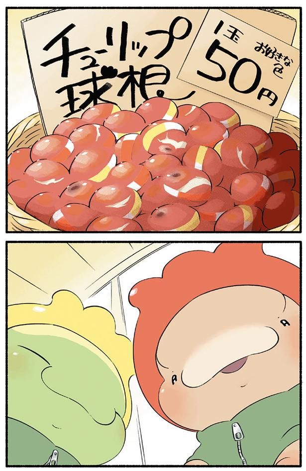 チューリップ球根 （C）クラナガ／KADOKAWA