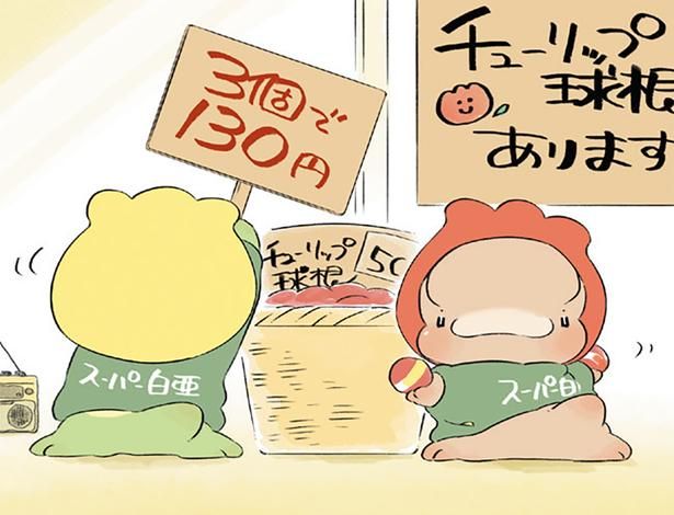 チューリップの球根あります （C）クラナガ／KADOKAWA
