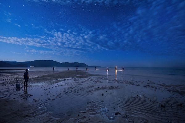 【沖縄県竹富町】旅人が小浜島の文化と暮らしを体験！プログラム第2弾は、幻想的な夜の「イザリ漁」