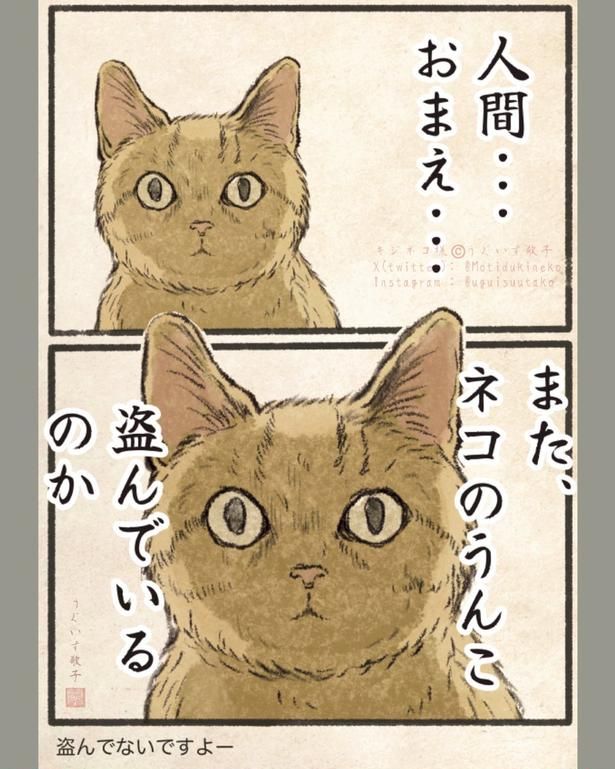 【漫画】おまえ・・・また・・・ 画像提供：(C)キジネコ様(@Motidukineko)