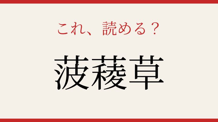【難読漢字】あなたは読める？野菜の名前の問題画像