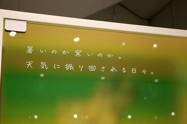 扉には、共感できる言葉が書かれていた