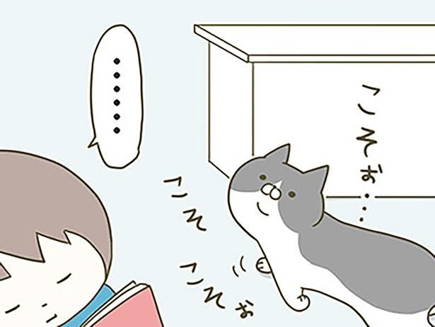 コソコソする猫 （C）卵山玉子／KADOKAWA