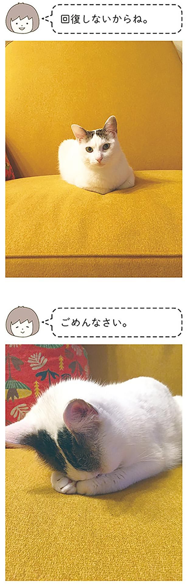 回復しないからね （C）卵山玉子／KADOKAWA