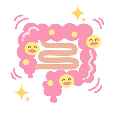 小豆の食物繊維はゴボウの4倍！