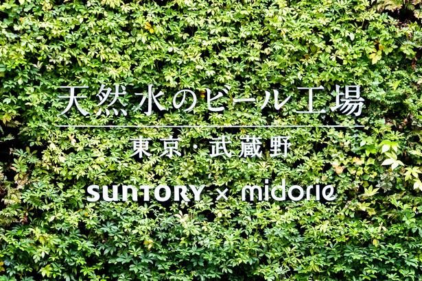 金麦の製造の舞台裏や、開発ストーリーを体験できる特別ツアーが開催中