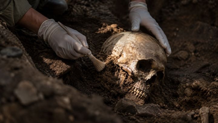 赤ちゃんの「やわらかい頭」と3000年前の墓