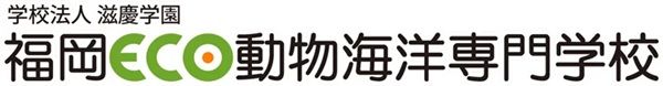 【福岡県】福岡市動物園のカフェに学生が企画した「守りたい！ツシマヤマネコソフト」登場