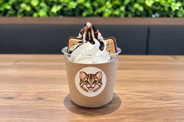 【福岡県】福岡市動物園のカフェに学生が企画した「守りたい！ツシマヤマネコソフト」登場