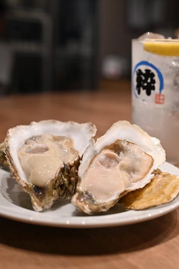味の違いを楽しめる「⽣牡蠣⾷べ⽐べセット 本日の旬の産地2種食べ比べ」(オープン記念限定1000円)※11時30分〜14時提供