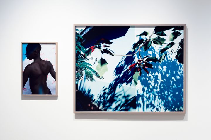 東京・原宿〈The Mass〉で開催中『Myriads』で展示中のヴィヴィアン・サッセンの作品
