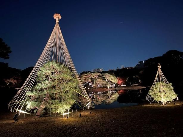 都立庭園の浜離宮恩賜庭園、小石川後楽園、六義園ではこの秋、夜間特別開園を実施する 六義園