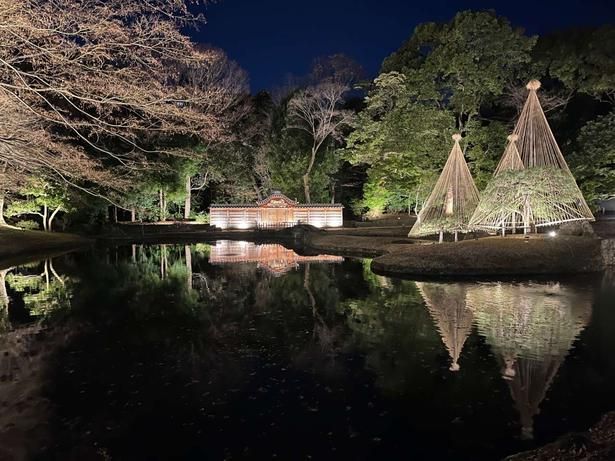 小石川後楽園、 過去のライトアップの様子 小石川後楽園