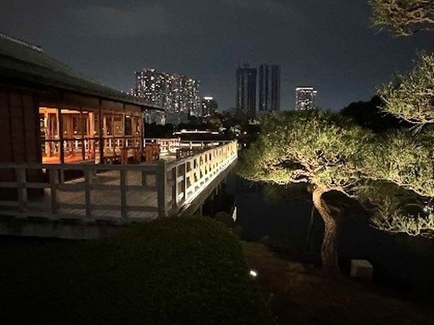 夜の中島の御茶屋 浜離宮恩賜庭園