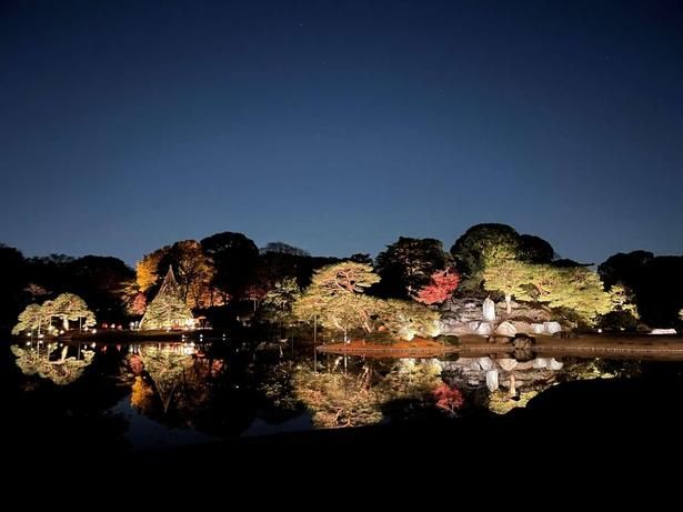 六義園、過去のライトアップの様子 六義園