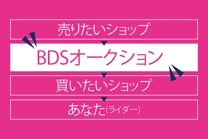 中古車・名車、大集合！大人の社会科見学｜BDS オークション会場に潜入！