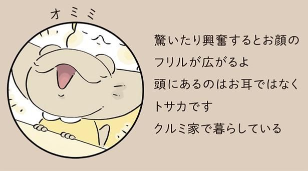 オミミ （C）クラナガ／KADOKAWA