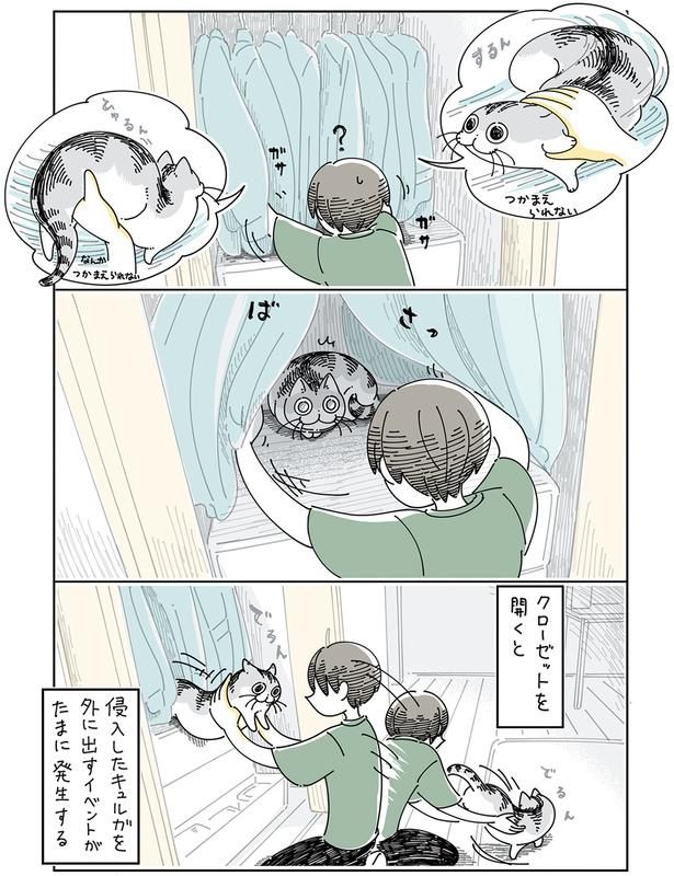 クローゼットを開くと （C）キュルZ／KADOKAWA