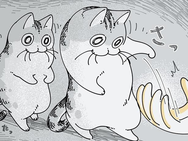 クローゼットを巡る攻防 （C）キュルZ／KADOKAWA