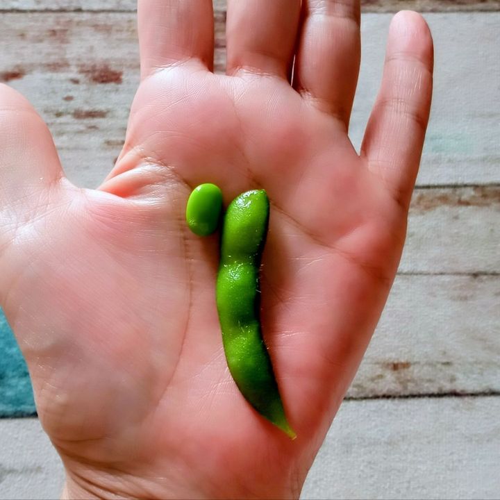 取出しやすいのだ〜
