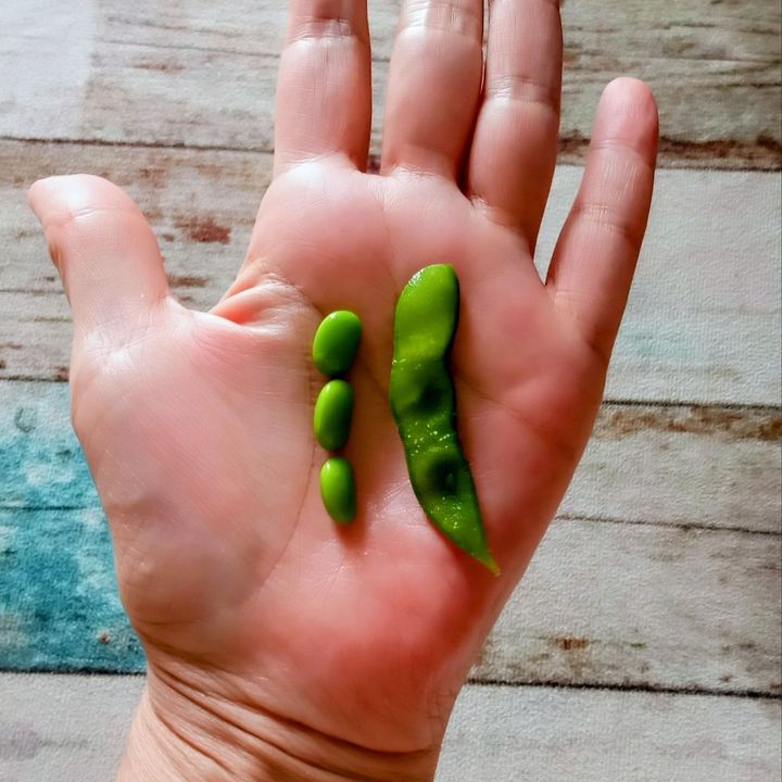 今更聞けない…豆が出やすいのは右？左？