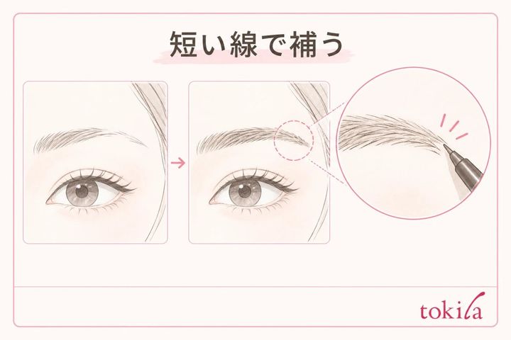 まばらな眉尻へ毛の流れに沿った短い線を足す図