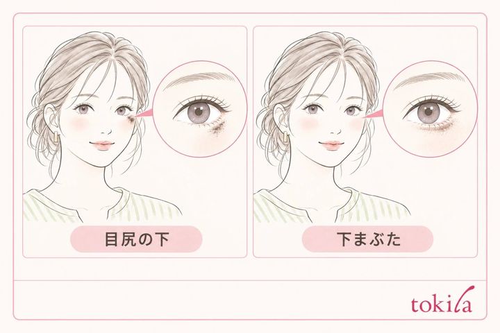目尻の下と下まぶたで色の付着位置を確認する図