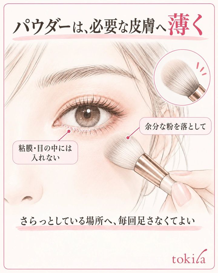 下まぶたの粘膜を避け、その下の皮膚へ少量のパウダーを使う位置を示す図