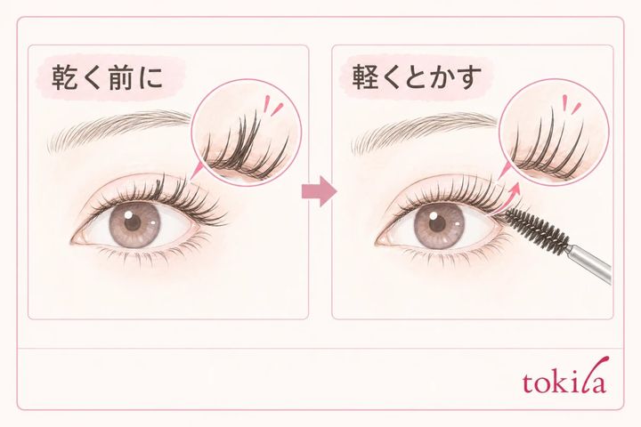 乾く前に清潔なまつ毛用ブラシで束を整える手順
