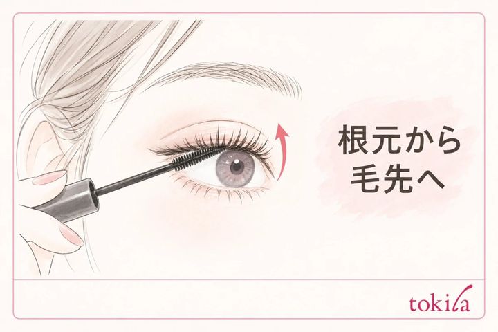 上まつ毛の根元側から毛先へ少量の液を塗る図