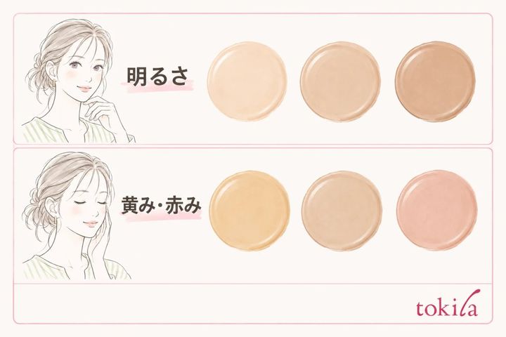 明るさと黄み・赤みを別々に比較する色見本の模式図