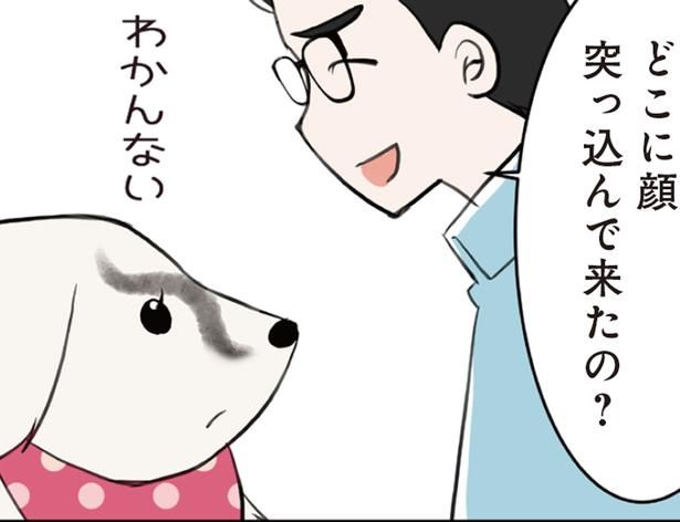 大型犬が隈取メイク!? 目元に現れた黒い模様の正体は？ （C）今日のルンルン、ゆに／KADOKAWA