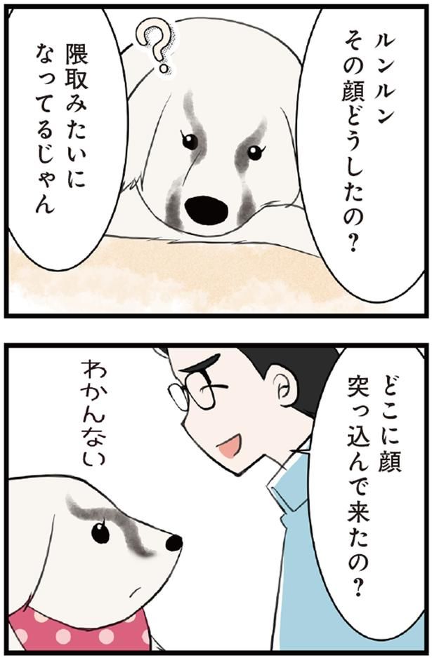 ルンルン、その顔どうしたの？ （C）今日のルンルン、ゆに／KADOKAWA