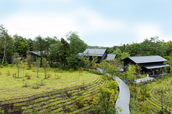 界草津