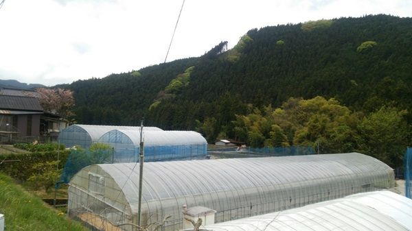 【愛媛県松山市】6席限定・完全予約制「日本料理 義若」開店！檜一枚板カウンターで料理の最高の瞬間を