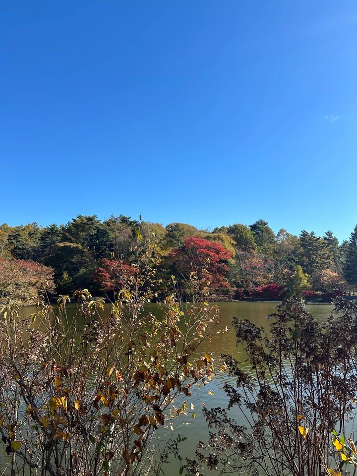 八峯苑 鹿の池