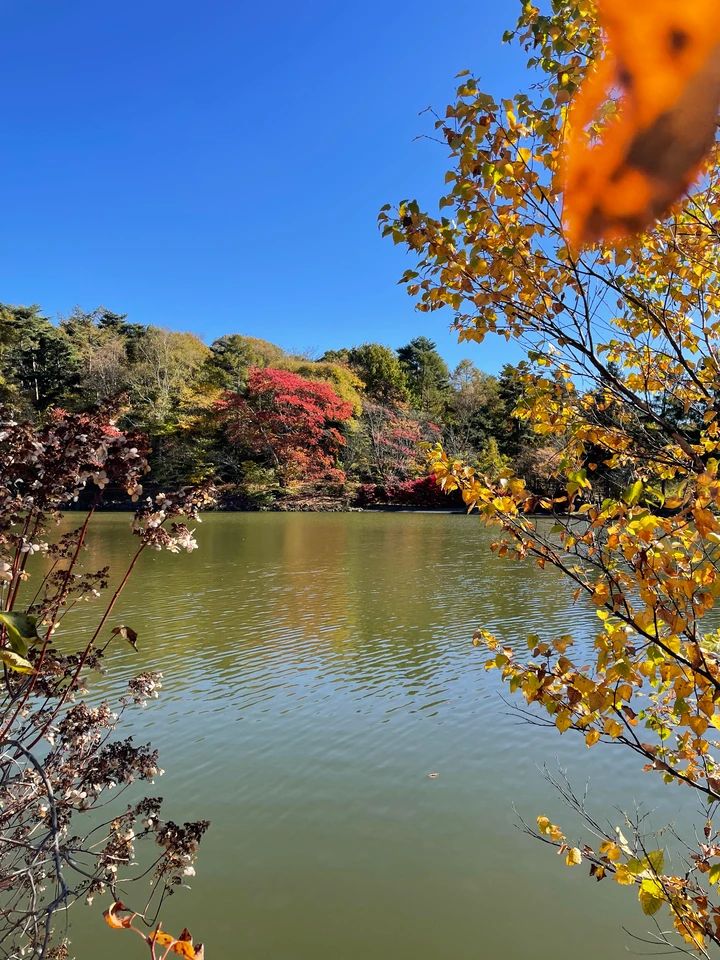 紅葉カヤック