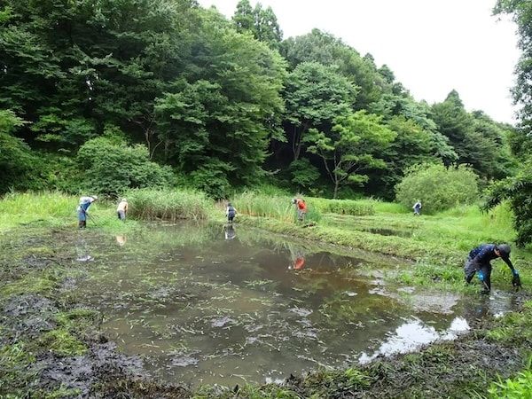 【千葉県佐倉市】里山保全活動団体と里山に関わりたい人を結ぶ取り組み「佐倉里山DAO」が始動！
