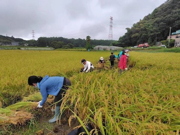【千葉県佐倉市】里山保全活動団体と里山に関わりたい人を結ぶ取り組み「佐倉里山DAO」が始動！