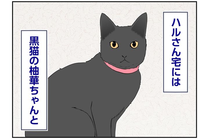【マンガ・老猫日誌＃143】新しい家の先輩猫は、まさに「飴と鞭」〜思い出の老猫日誌・桃姐と小論