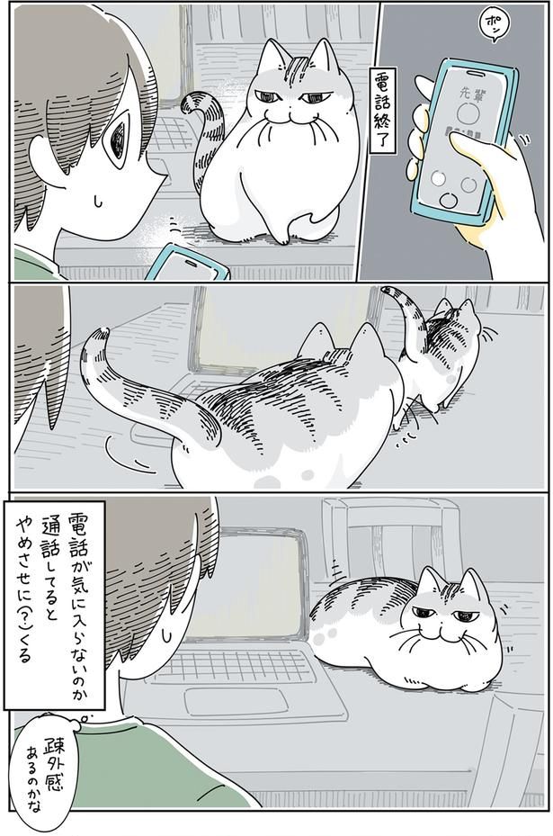 やめさせに（？）くる （C）キュルZ／KADOKAWA