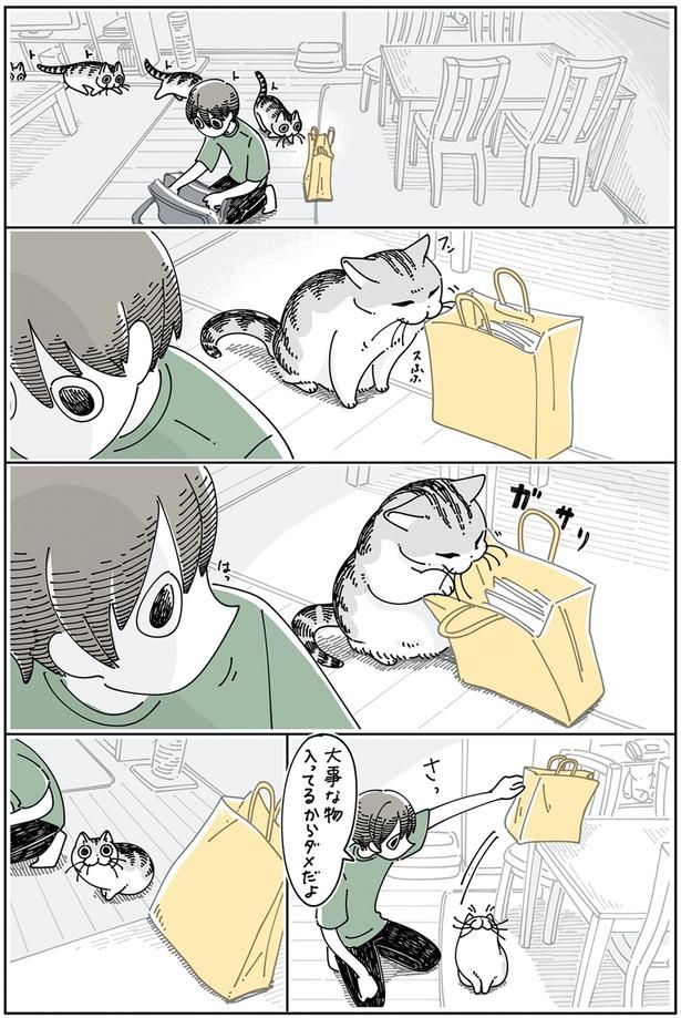 のぼれちゃったネコ （C）キュルZ／KADOKAWA
