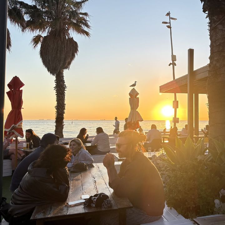 ヤシの木と夕日を背景にビーチ沿いのテラス席で歓談する人々